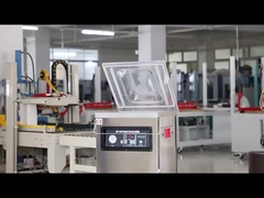 DUOQI DZ-400 Einzelkammer Vakuumverpackungsmaschine mit elektrischer Steuerung