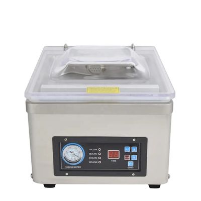 kaufen DZ-260D Einzelkammer Vakuumdichtungsgerät 110V online manufacture